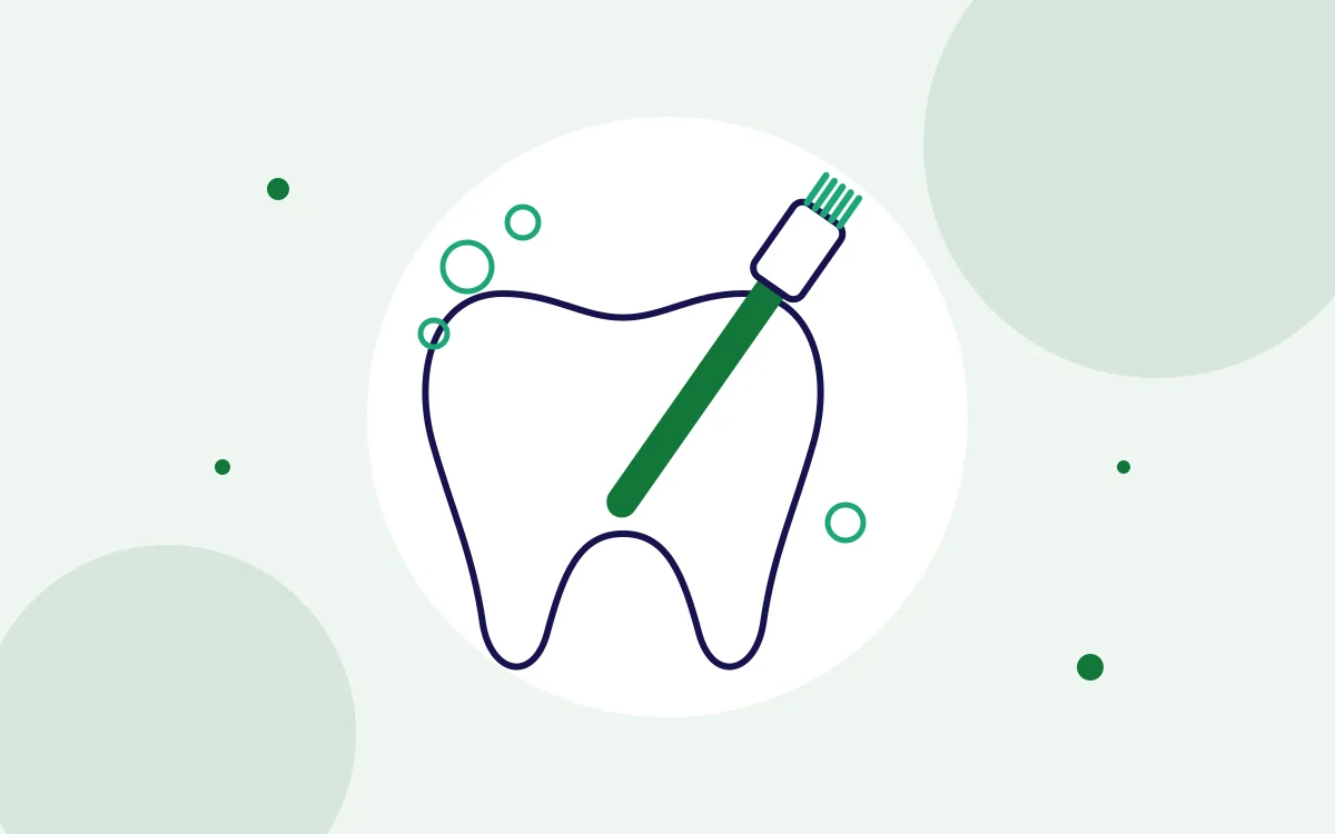 Illustration of a toothbrush cleaning a tooth for dental cleanings